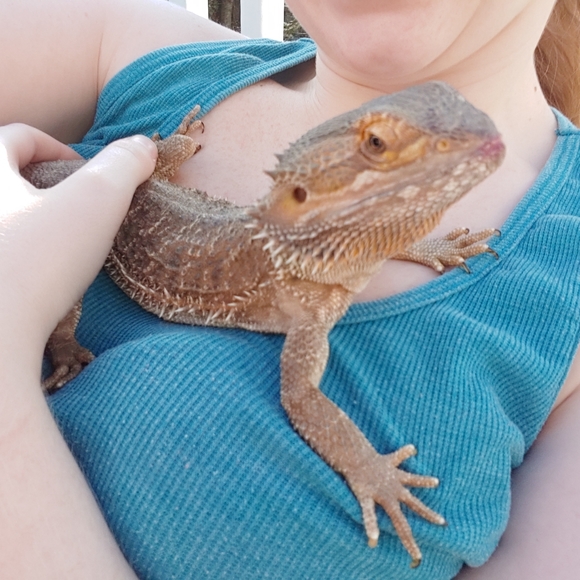 Hey! Nice to meet you! I'm Phoénix_Girlxxx - Picture 4 of 6